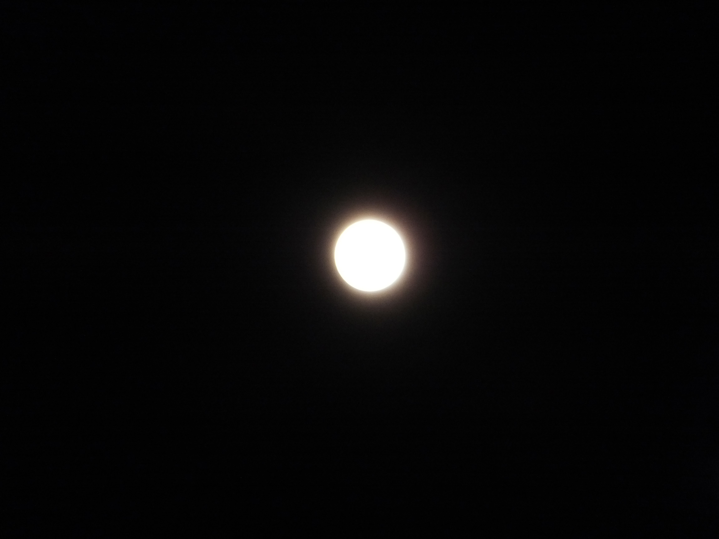 2011年03月19日の月
