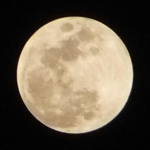 月齢14日未満の満月