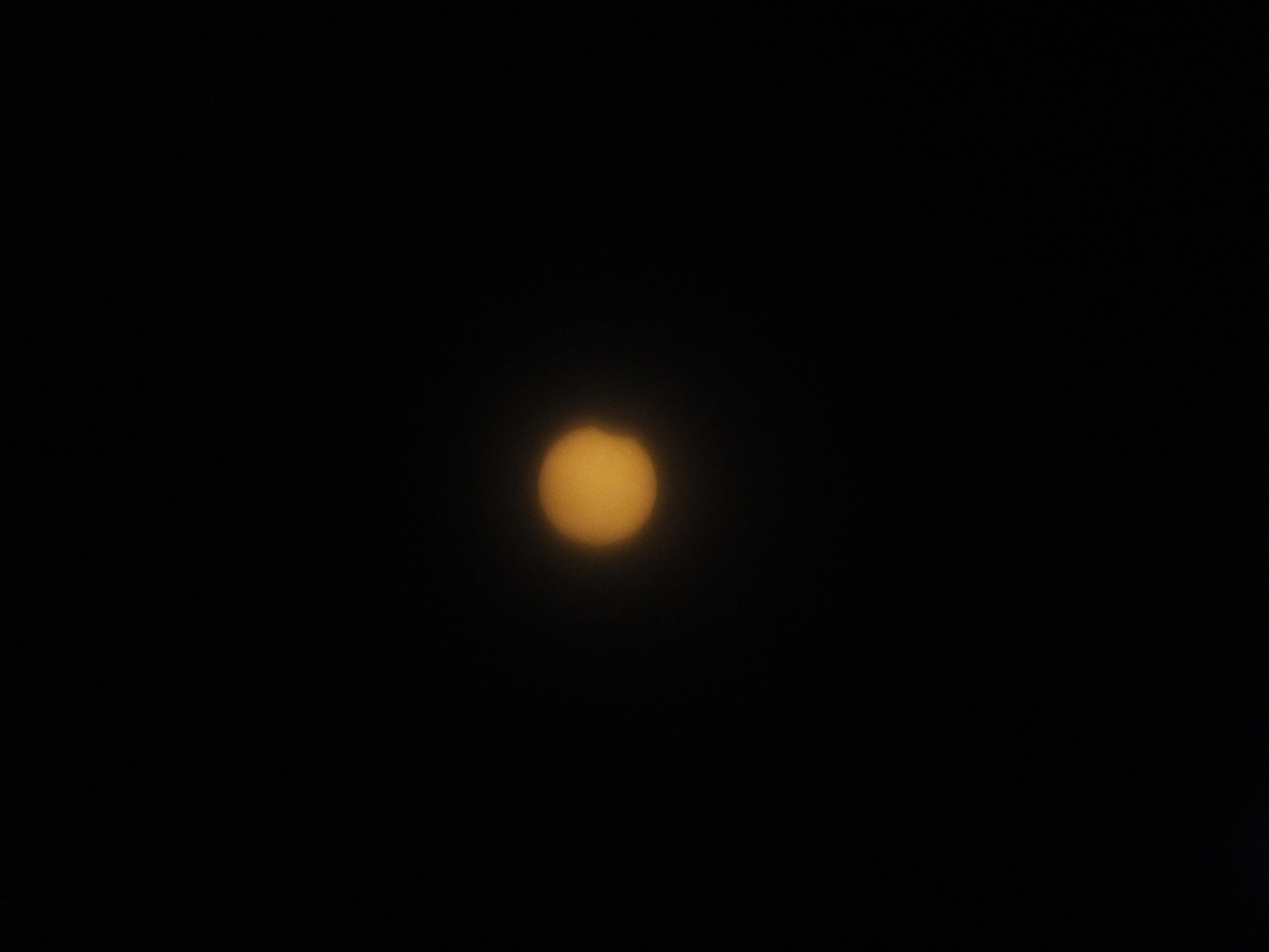 2019年01月06日の月