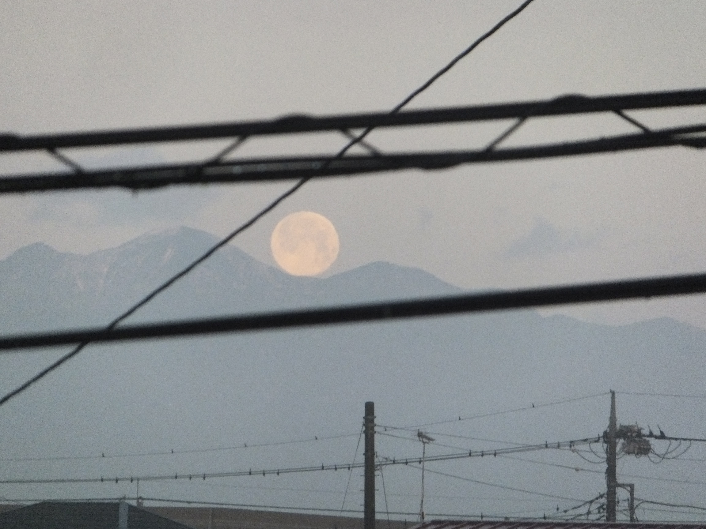 2019年02月19日の月