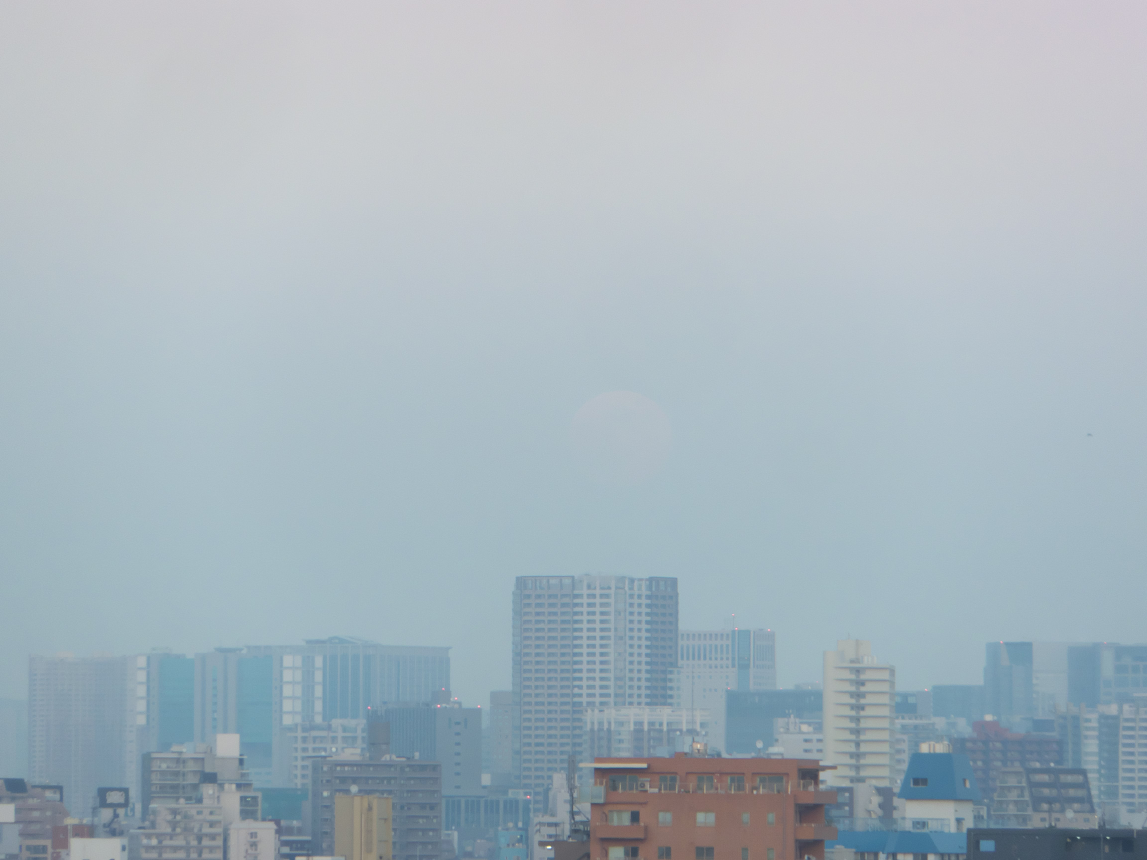 2023年11月27日の月