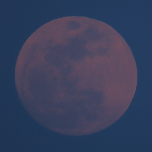 春霞の月夜