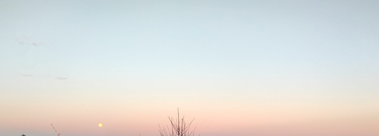 2026年01月03日の月