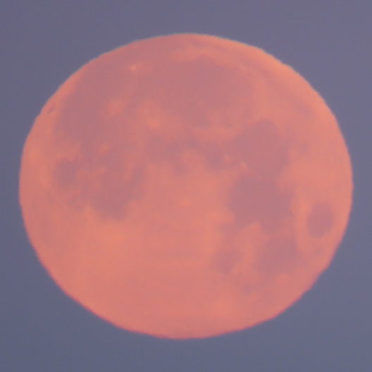 十四夜の満月は雲隠れ