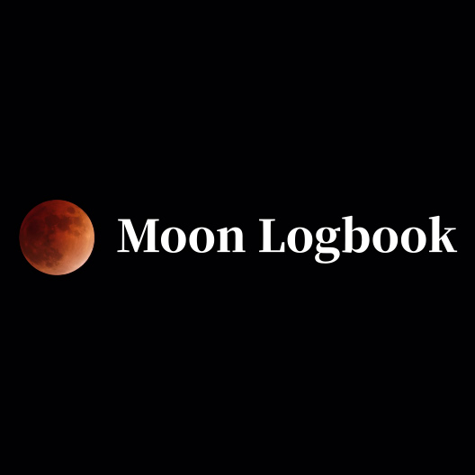Moon Logbook 設立1周年を迎えて